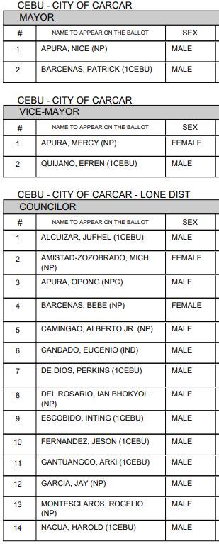 vice mayor of carcar city cebu|2022 ELECTION RESULTS: Carcar City, Cebu .